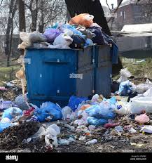 Professional Junk Removal Services in Pea Ridge, FL